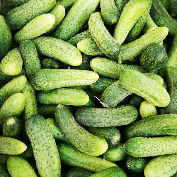 Cornichons bio (1kg)
