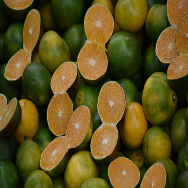 Mandarine sauvage (1kg)